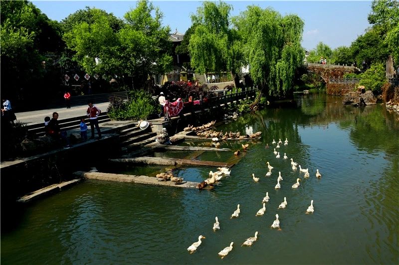 研學(xué)商業(yè)模式或?qū)⒕拮?！北京鼓?lì)社會(huì)力量參與博物館社教活動(dòng)開發(fā)和實(shí)施