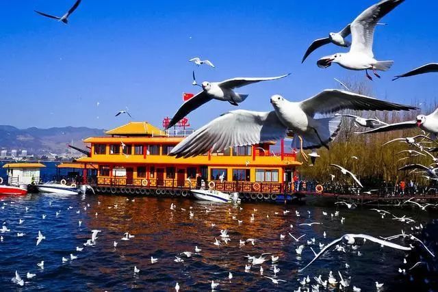 云南品質(zhì)游旅行社推薦，云南旅游選擇品質(zhì)旅游有什么優(yōu)點
