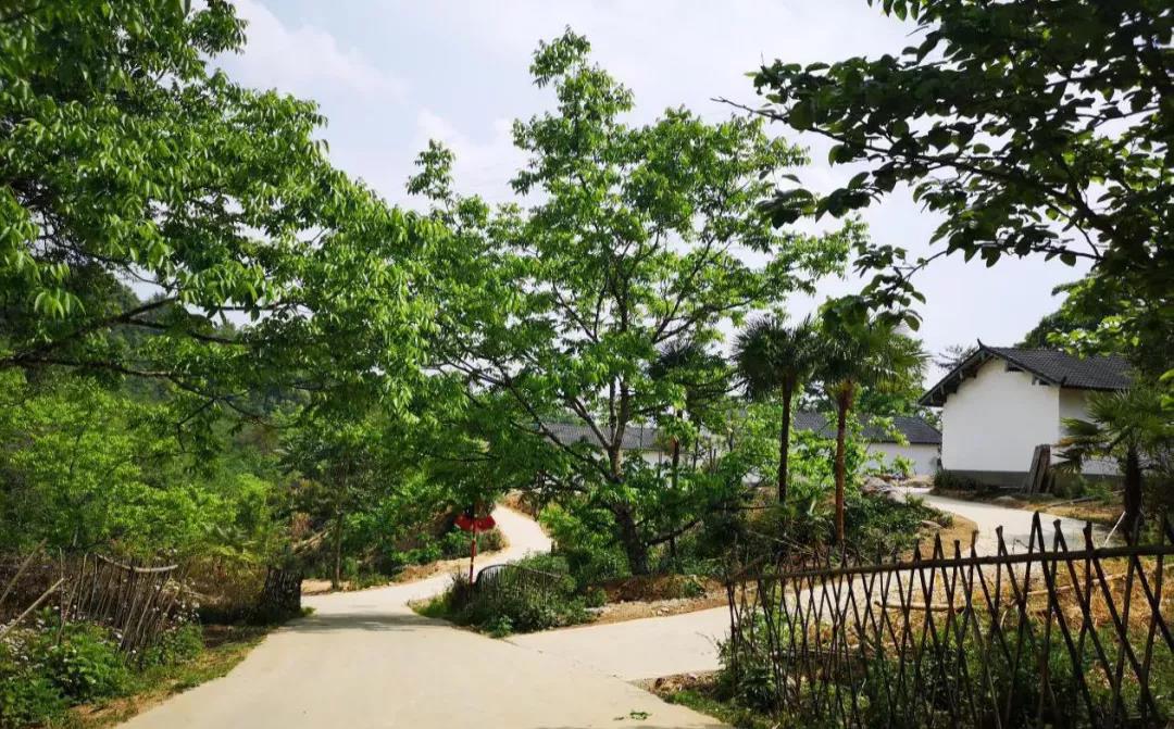 云南鄉(xiāng)村旅游，“玩”出特色！德宏：打好發(fā)展組合拳
