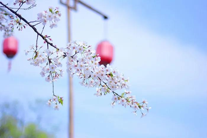 旅游景區(qū)如何良性循環(huán)應(yīng)對市場變化？