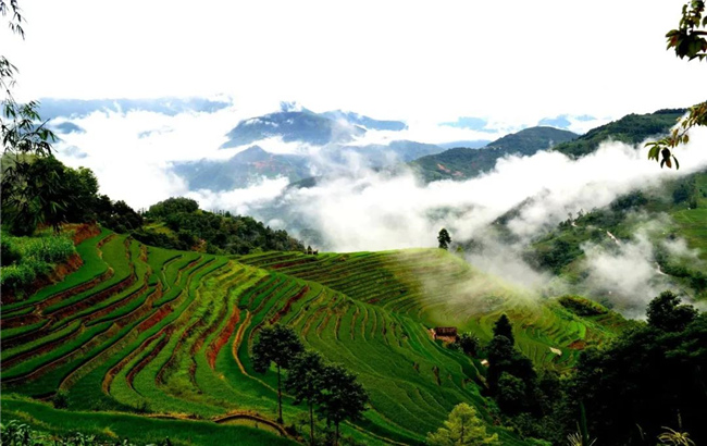 紅河旅游  打卡夏日元陽(yáng)哈尼梯田，暢游綠色仙境