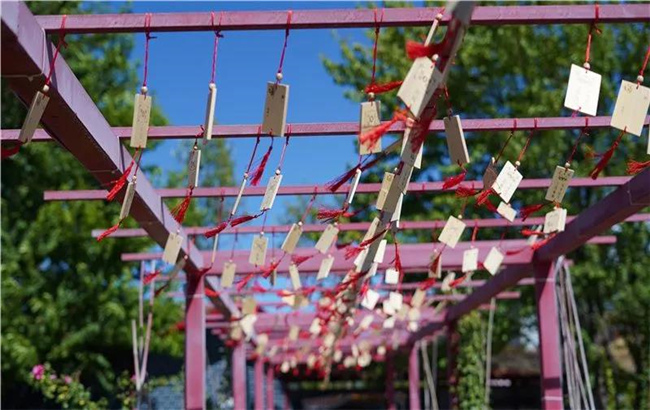 賞花親水、荷塘野趣……楚雄東華濕地公園許你一個繽紛夏日