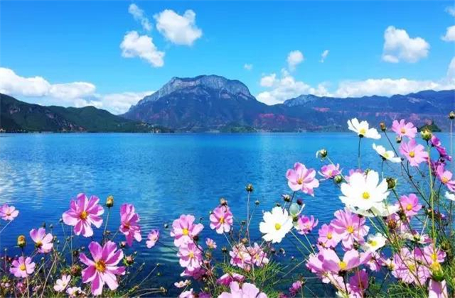 云南旅拍地推薦：七月的瀘沽湖，竟然可以美成這樣！
