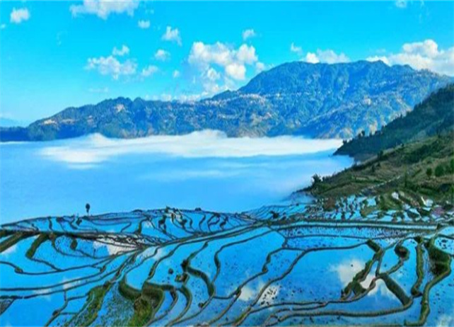 一條來(lái)自聯(lián)合國(guó)的推送，主角：紅河哈尼梯田！