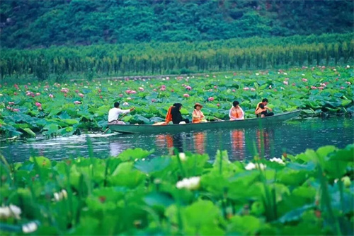 2022普者黑夏令營(yíng)：山水田園，萬(wàn)畝荷花游學(xué)，探訪彝族古村，感知民族文化！