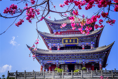 疫情過(guò)后，給自己來(lái)一場(chǎng)放縱的旅行...麗江的夏天愿你更美！