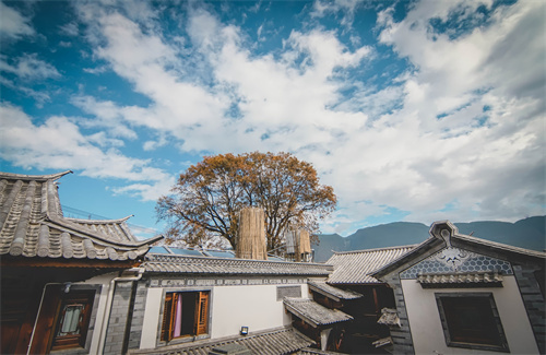 春節(jié)云南特輯 | 人少景美！春節(jié)云南旅游線路推薦三