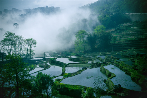 鄉(xiāng)村健康養(yǎng)生產(chǎn)業(yè)的客戶群體有哪些？它有什么開發(fā)要點(diǎn)？