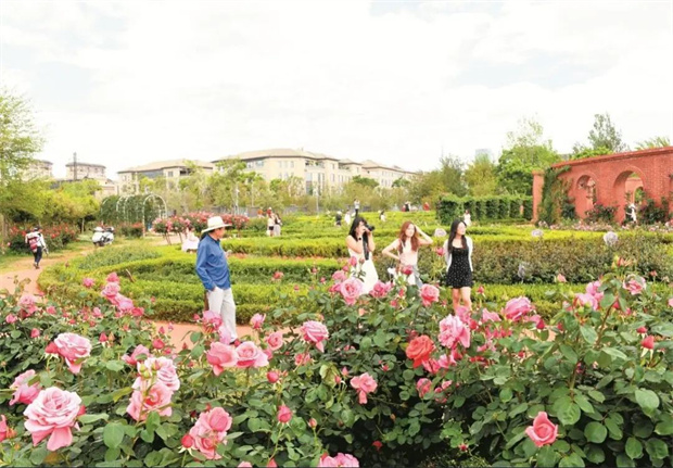 云南旅游,云南旅行社,云南團建公司,云南策劃公司,云南會議公司,昆明旅游,昆明旅行社,昆明團建公司,昆明策劃公司,昆明會議執(zhí)行：旅居昆明，在花海里通關(guān)四季！花歷正在更新，等你來簽收春天→